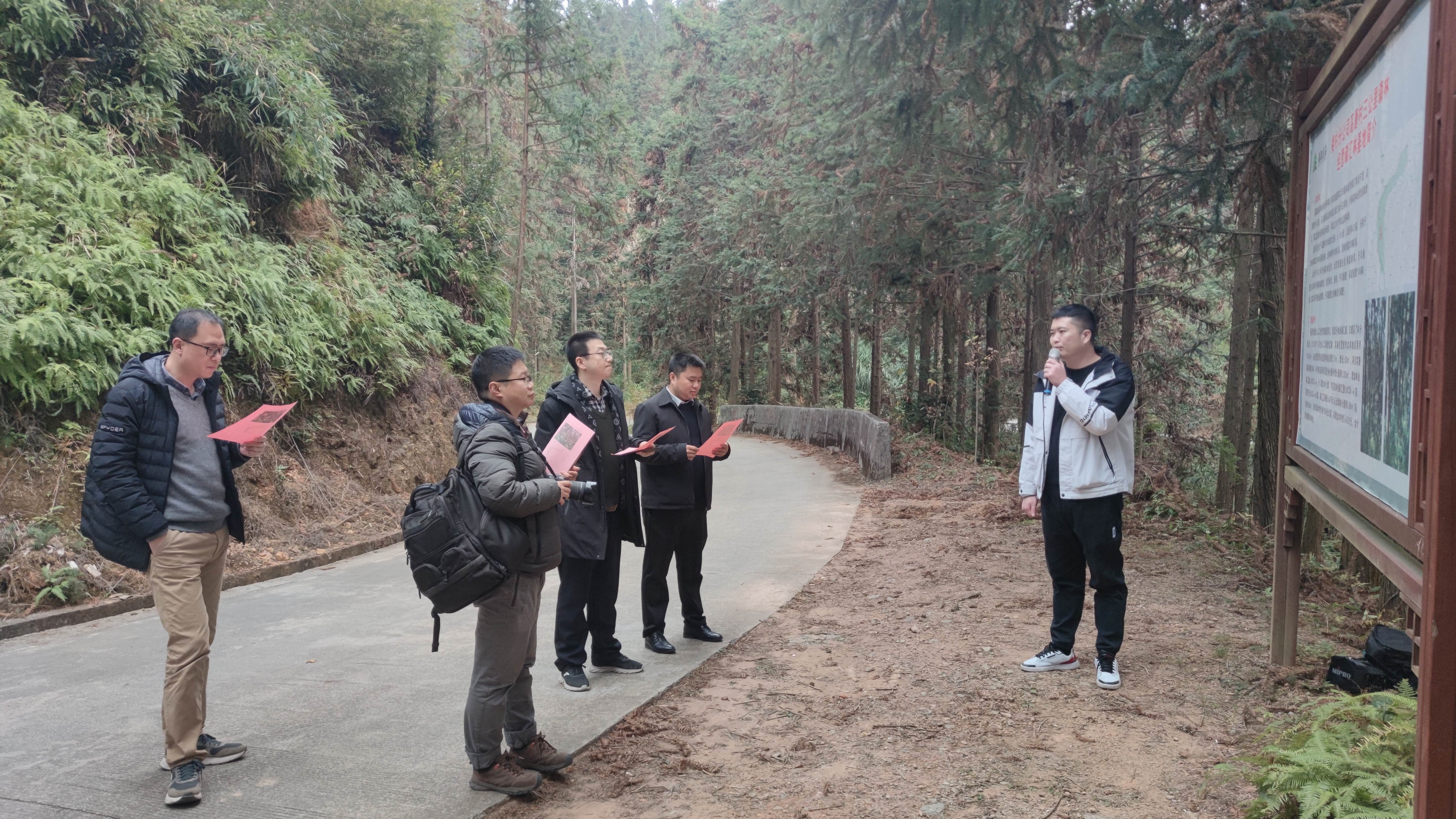 福建金森與上海園林集團——強強交流促合作，共繪林改新藍圖