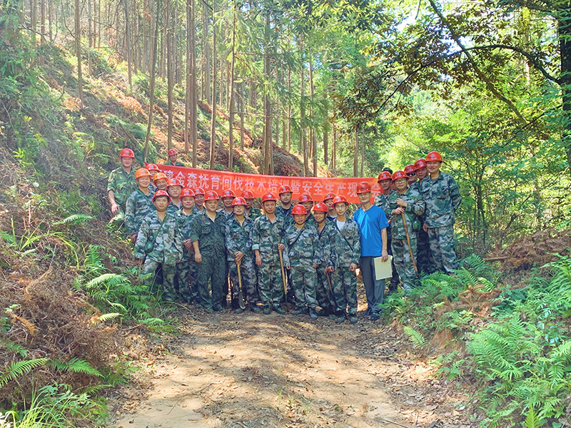 嚴把森林培育質量關，譜寫資源培育新篇章