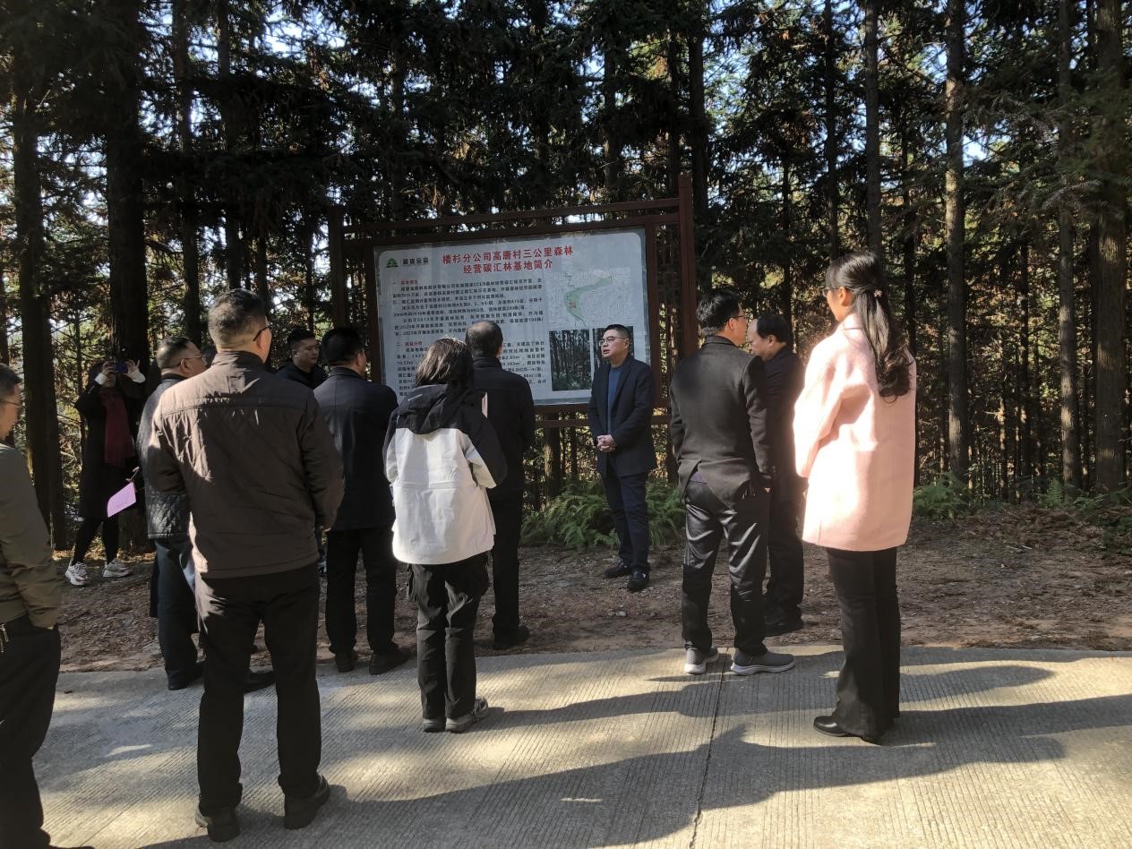 重慶市林業局一行至福建金森考察
